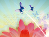 Lotus Blossom  -- Free Abstract Desktop Wallpapers from MSN Greetings
