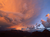 August Calendar  -- Free Traditional Calendar Nature, Desktop Wallpapers from American Greetings
