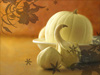 White Pumpkin and Gourds 