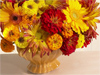 Bold Bouquet  -- Free , Desktop Wallpapers from American Greetings