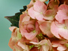 Purple Petals  -- Free , Desktop Wallpapers from American Greetings