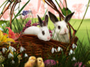 Happy Easter! Easter eCards