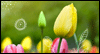 Wonderful You Mother's Day eCards