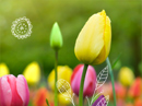 Wonderful You Mother's Day eCards