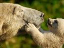 Moms Make Us Smile<br>Song Mother's Day eCards