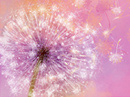 Strength, Health<br>and Joy Get Well eCards