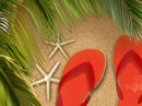 Tropical Escape<br>Tic Tac Toe