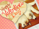 Furever Love Valentine's Day eCards