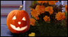 Fall's Magic Spell Halloween eCards