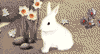 Warm Easter Wishes<br>Interactive Easter eCards