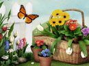 Garden of Wishes<br>Interactive Mother's Day eCards