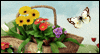Blooming Wishes<br>Interactive Birthday eCards