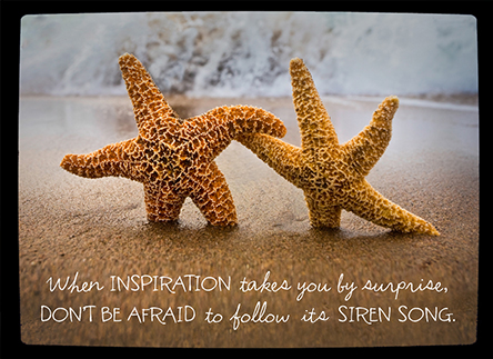 Follow Your Inspiration