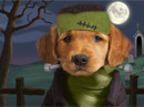 FrankenPup<br>Talking Card Halloween eCards