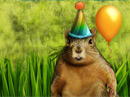 Birthday Nut<br>Talking Card Birthday eCards