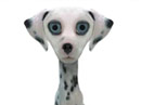 See Spot Speak<br>Talking Card Birthday eCards