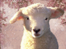 Love Ewe!<br>Talking Card Easter eCards