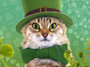 St. Cat's Day<br>Talking Card St. Patrick's Day eCards