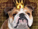 Top Dawg <br>Talking Card Father's Day eCards