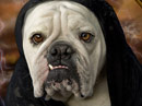 Happy Howloween!<br>Talking Card Halloween eCards