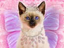 Princess Kitty<br>Talking Card Halloween eCards