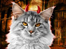 Wicked Fun<br>Talking Card Halloween eCards