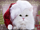 Santa Paws<br>Talking Card Christmas eCards
