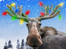 Merry Chrismoose!<br>Talking Card Christmas eCards