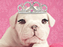 Queen for a Day<br>Talking Card Mother's Day eCards