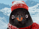 Just Chillin'<br>Talking Card Christmas eCards