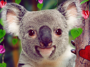 Top Koala-ty Hugger<br>Talking Card Valentine's Day eCards