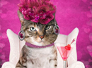 Be My Valentini<br>Talking Card Valentine's Day eCards
