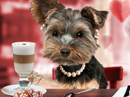 Love You a Latte<br>Talking Card Valentine's Day eCards
