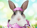 Bunny Hugs<br>Talking Card Easter eCards