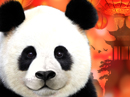 Chinese New Year<br>Talking Card Chinese New Year eCards
