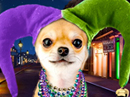 Happy Mardi Gras!<br>Talking Card Mardi Gras eCards