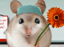 Happy Nurses Week<br>Talking Card Nurses Day eCards