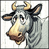 No Bull! 