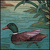 Mallard Duck --  project from Yahoo! Greetings