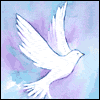 God Bless You -- Religious Greeting Cards project from Yahoo! Greetings