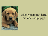 One Sad Puppy miss you ecards