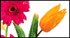 Happy Easter Add-a-Photo -- Easter Add a Photo eCard from Yahoo! Greetings