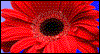 A Springtime Wish -- Celebrate Spring eCard from Yahoo! Greetings