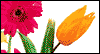 Happy Mother's Day<br>Add-a-Photo Mother's Day eCards