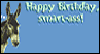Smart Donkey Funny Birthday Ecard
