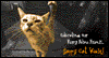Cat Week June eCards