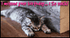 Sleeping Kitty Belated Birthday Ecard