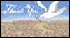 Beautiful Soul  -- Thank You Support eCard from American Greetings
