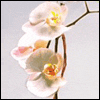 To Comfort You in the Loss of Your Daughter -- Loss of Family Member Sympathy Greeting Cards project from Yahoo! Greetings