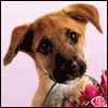 I Care -- Get Well Greeting Cards For Anyone project from Yahoo! Greetings